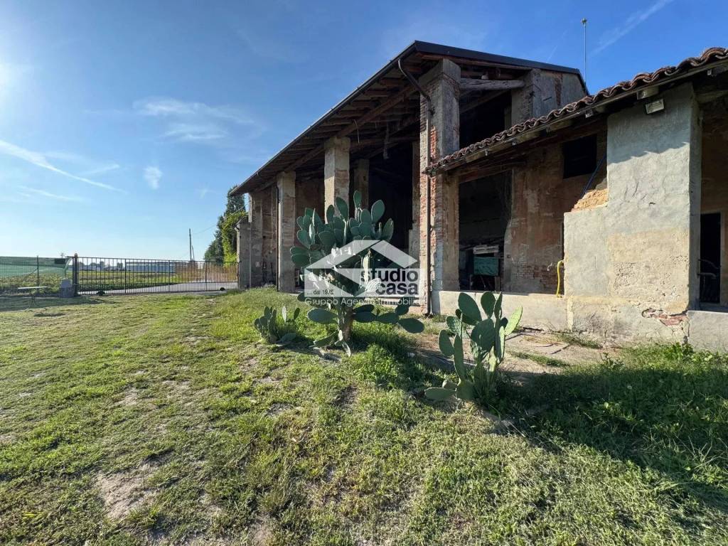 immagine annuncio 8 di 15