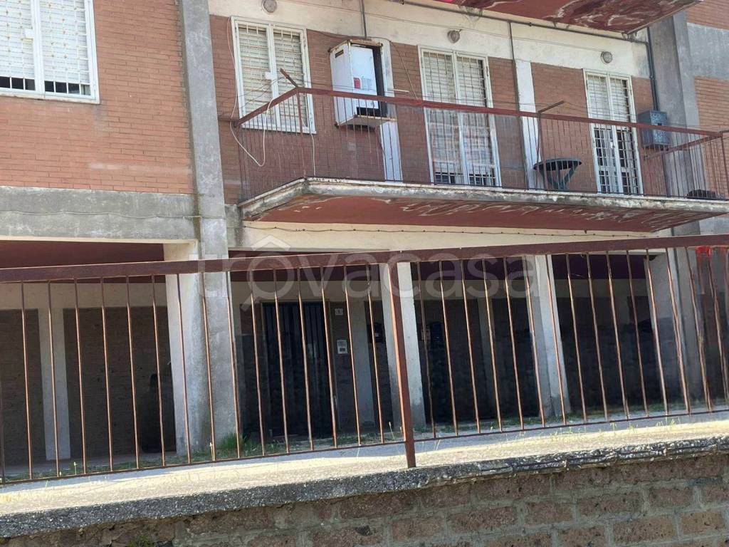 immagine annuncio 8 di 14