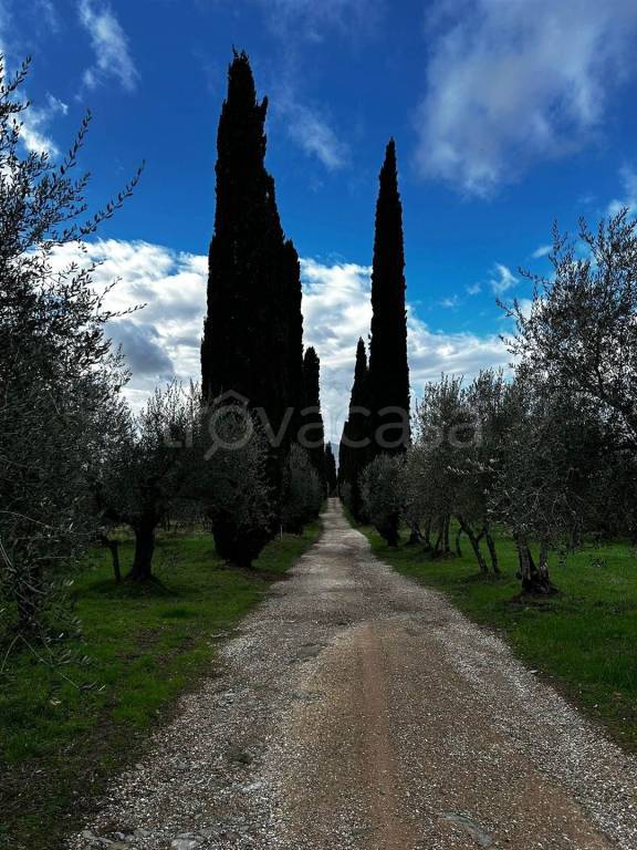 immagine annuncio 2 di 8