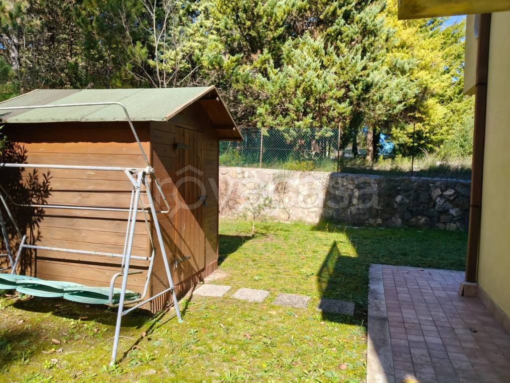 immagine annuncio 5 di 12