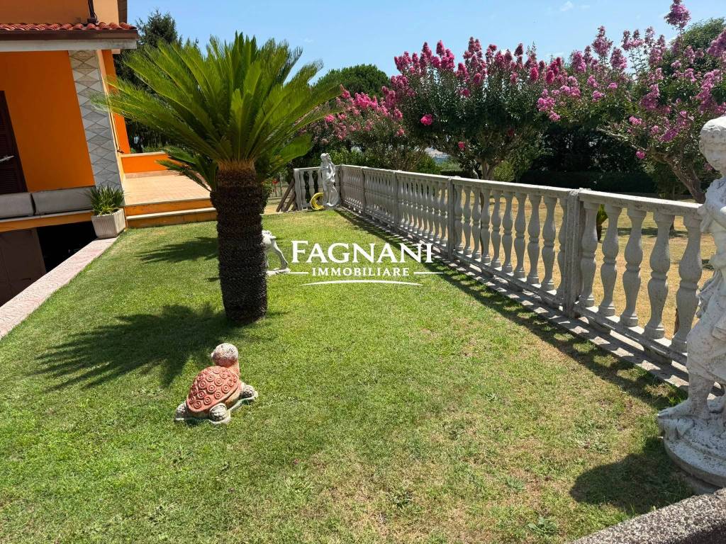 immagine annuncio 12 di 15