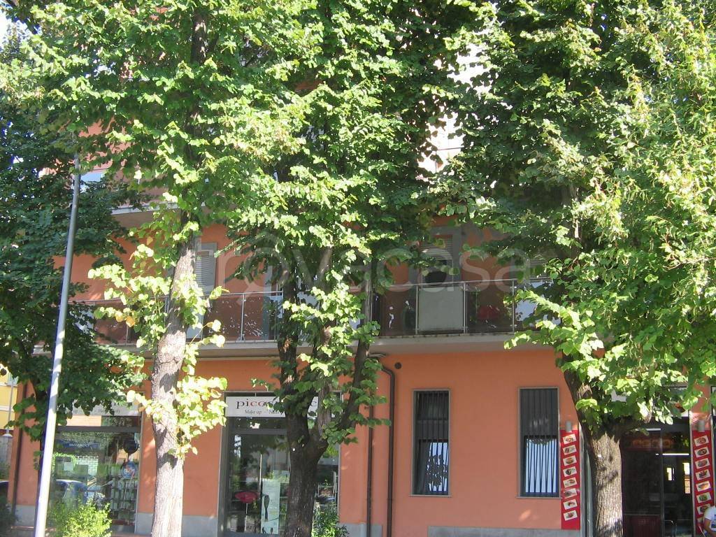 immagine annuncio 3 di 14