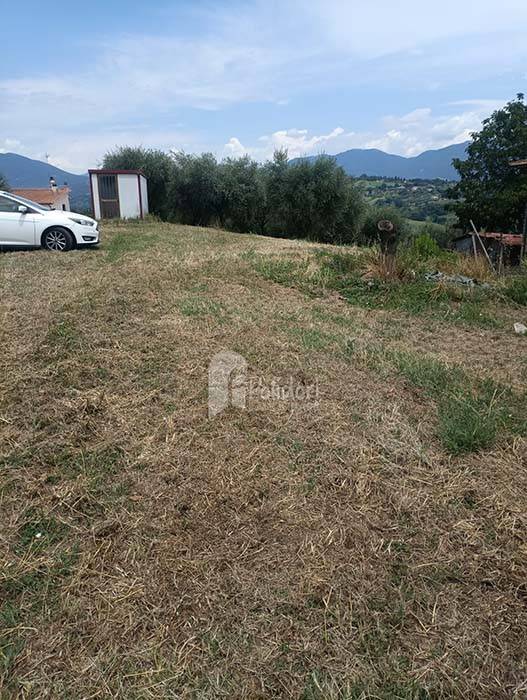 immagine annuncio 6 di 13