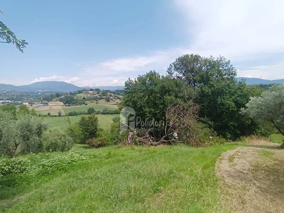 immagine annuncio 9 di 13