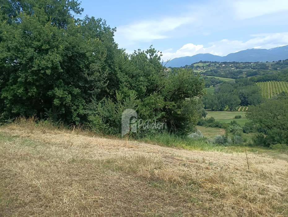 immagine annuncio 12 di 13