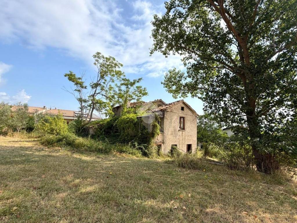 immagine annuncio 3 di 11