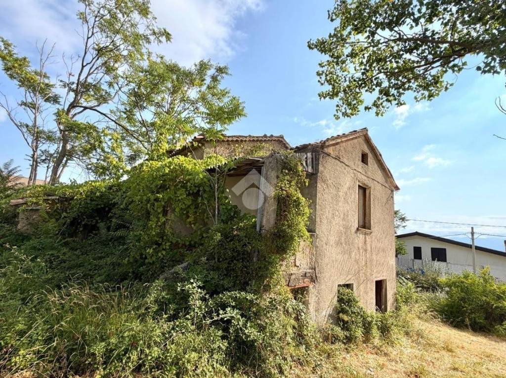 immagine annuncio 4 di 11