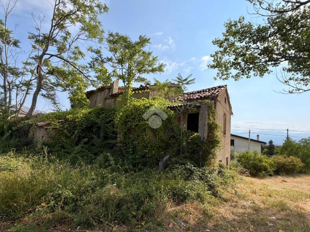 immagine annuncio 5 di 11