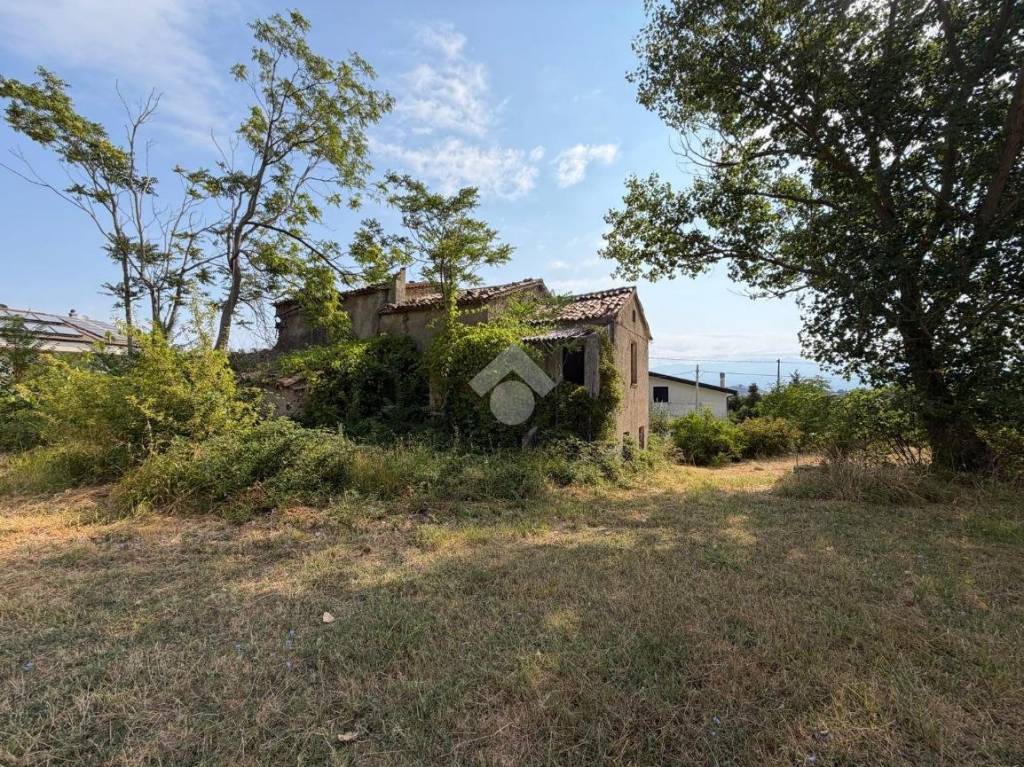 immagine annuncio 7 di 11
