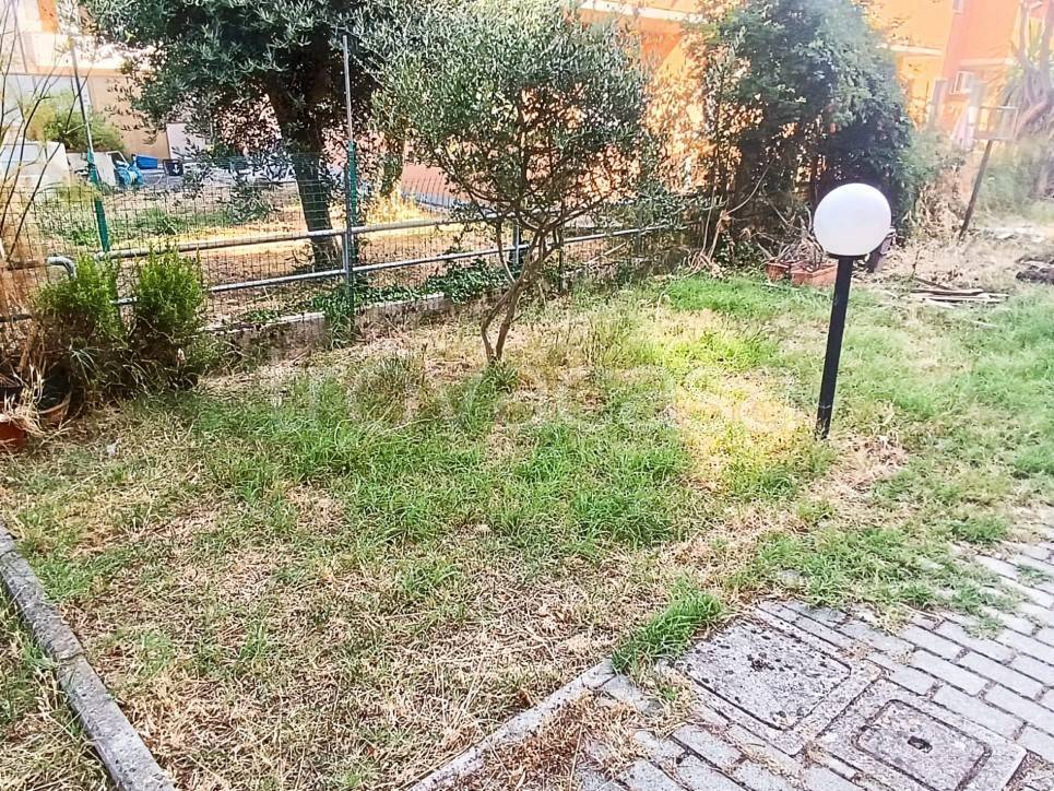 immagine annuncio 10 di 12