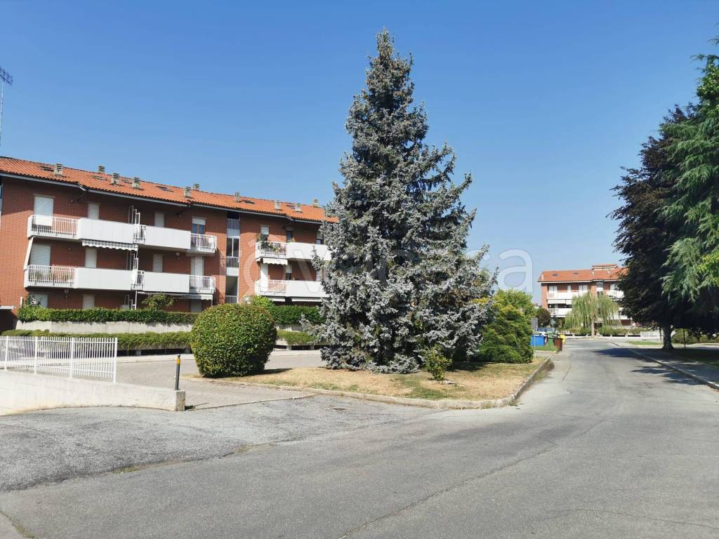 immagine annuncio 2 di 3