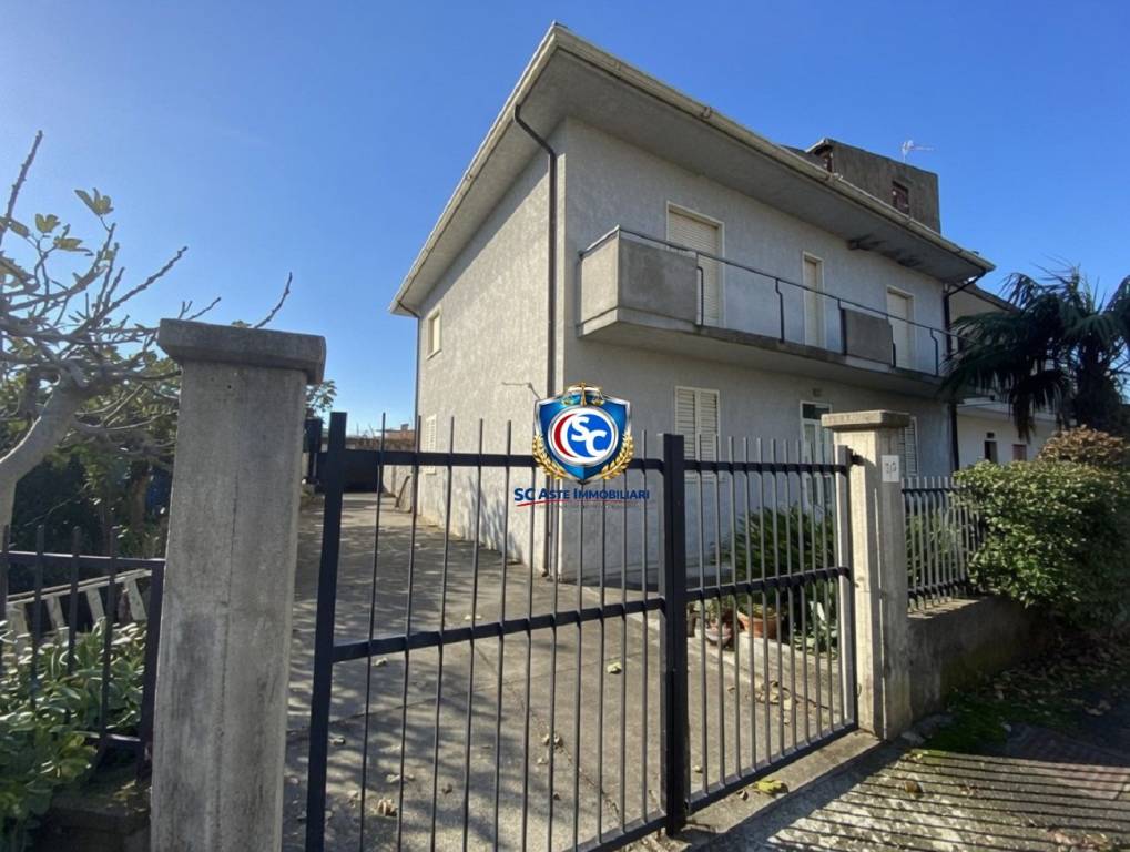 immagine annuncio 1 di 14