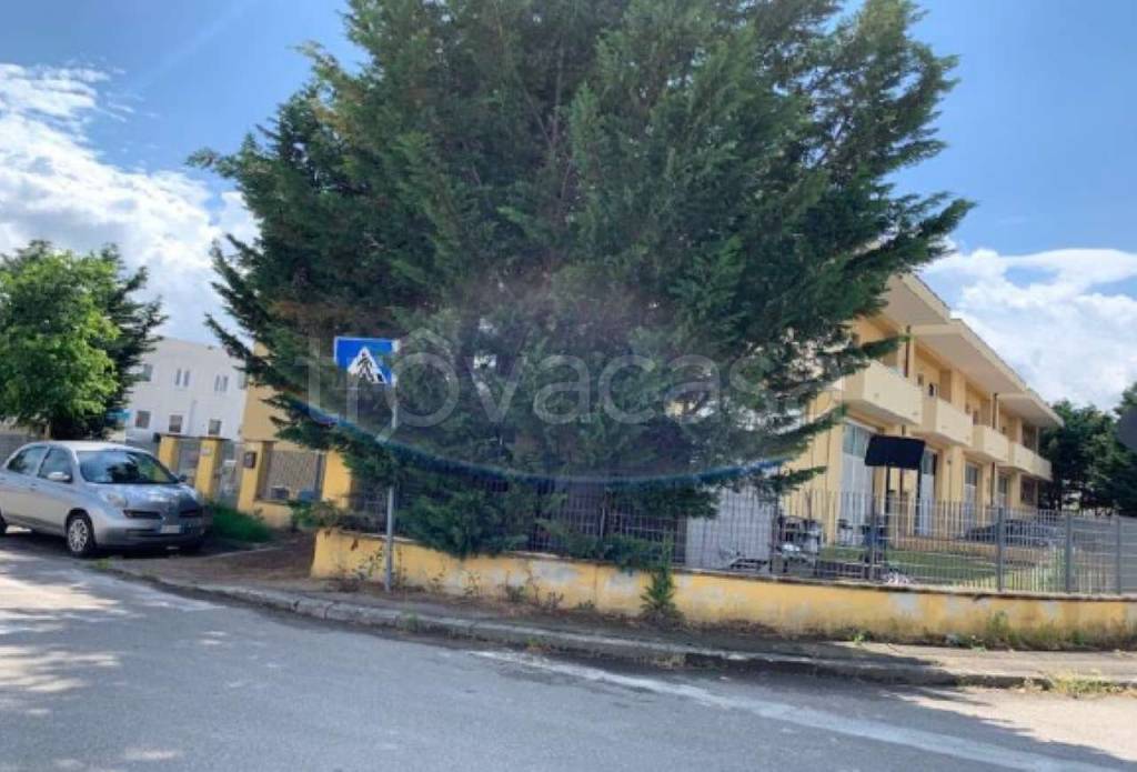 immagine annuncio 9 di 11