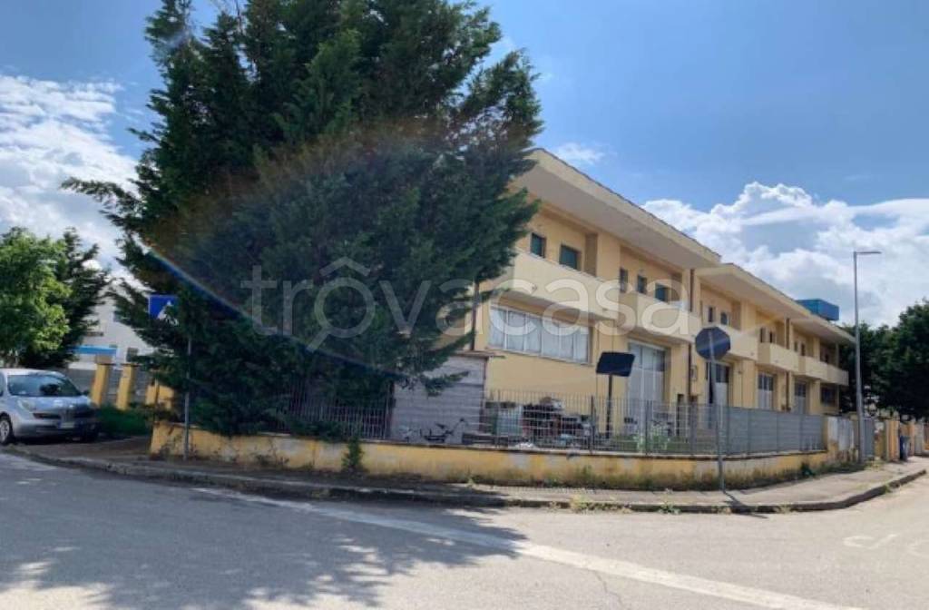 immagine annuncio 10 di 11