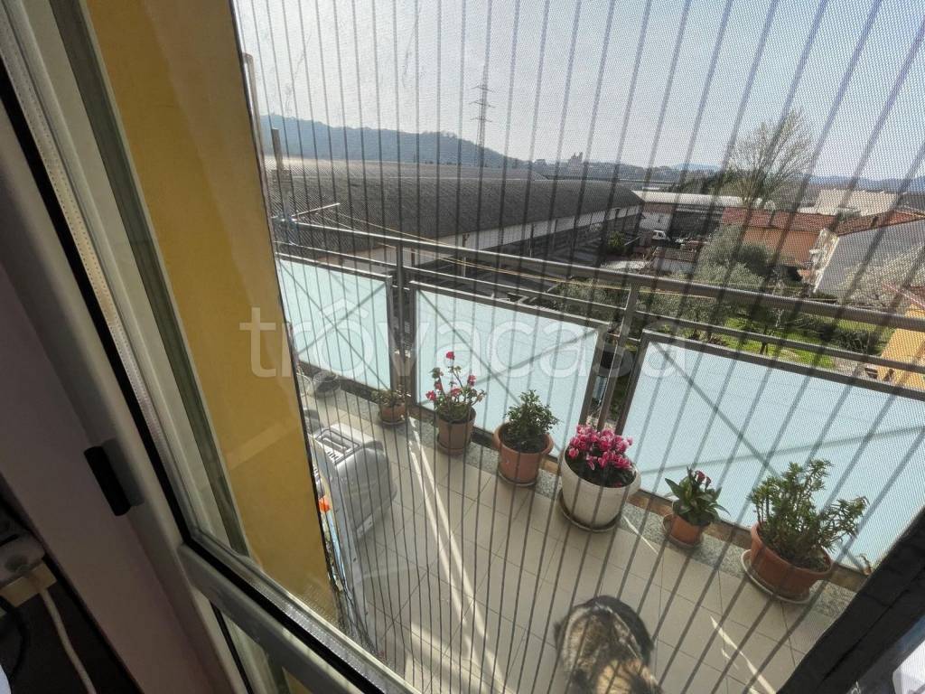 immagine annuncio 2 di 6