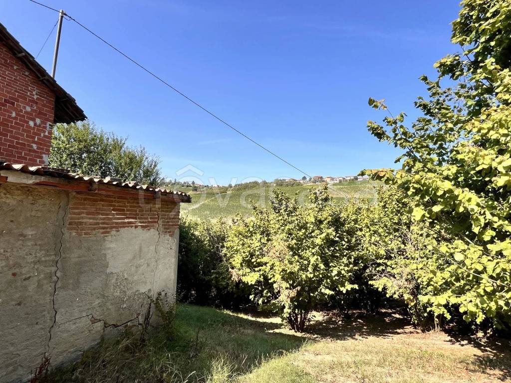 immagine annuncio 6 di 7