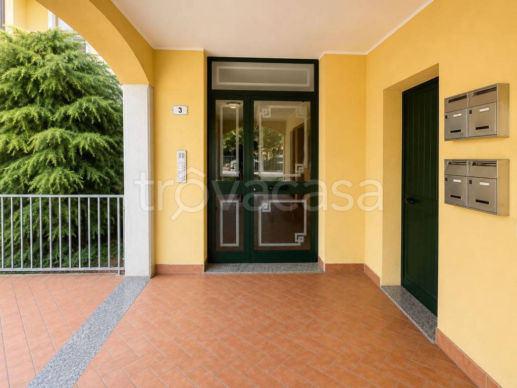 immagine annuncio 6 di 15