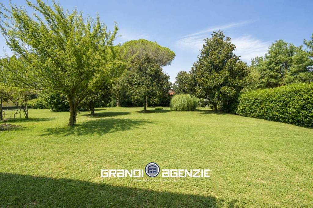 immagine annuncio 11 di 12