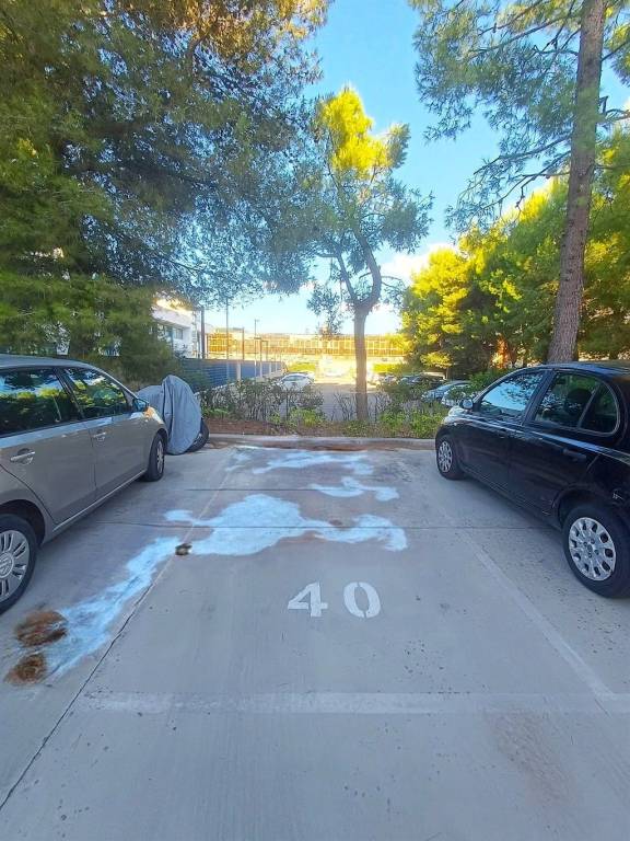 immagine annuncio 4 di 6
