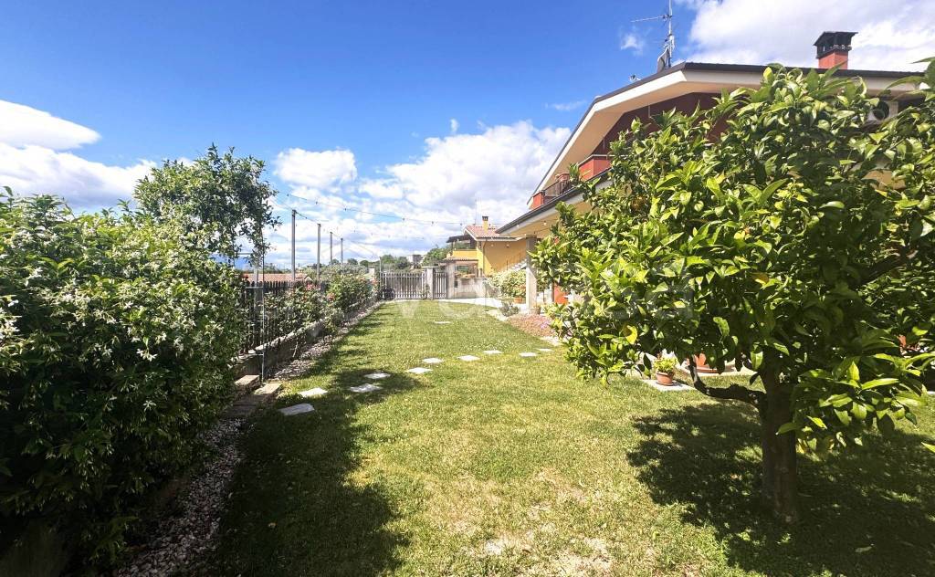 immagine annuncio 12 di 15
