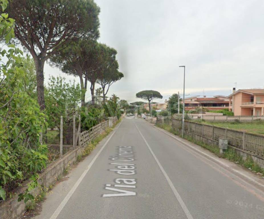 immagine annuncio 10 di 14