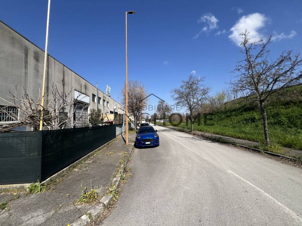 immagine annuncio 9 di 10
