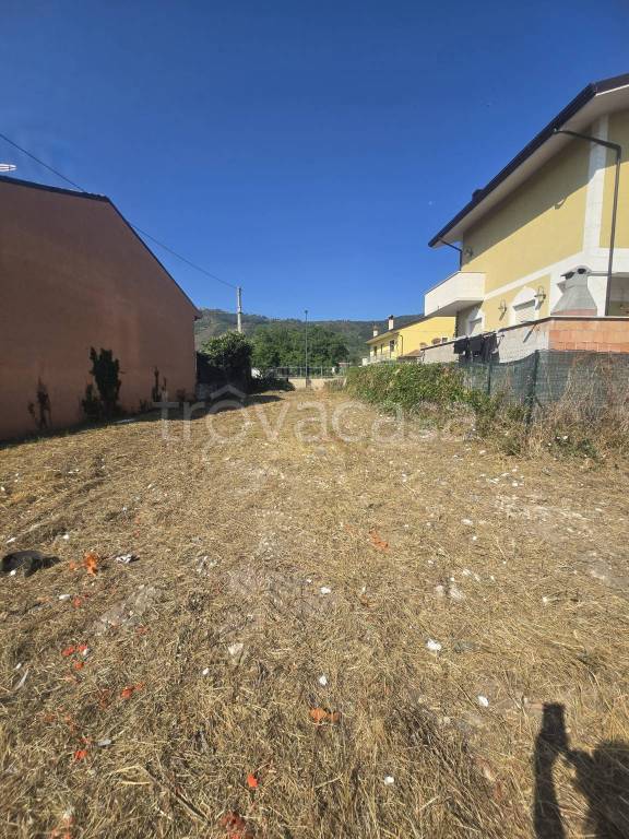 immagine annuncio 1 di 6