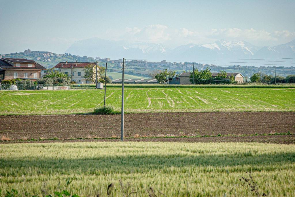 immagine annuncio 8 di 14
