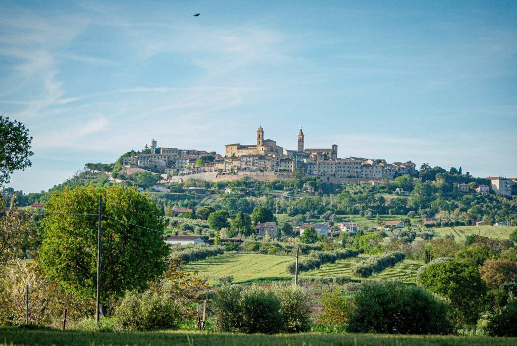 immagine annuncio 7 di 14