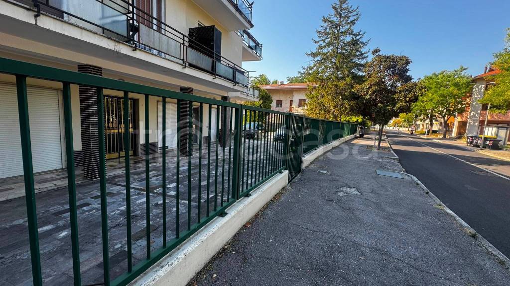 immagine annuncio 12 di 13