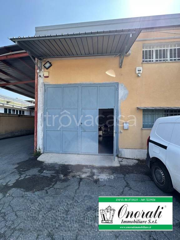 immagine annuncio 8 di 10