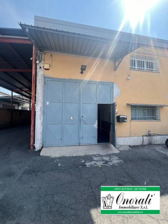 immagine annuncio 9 di 10