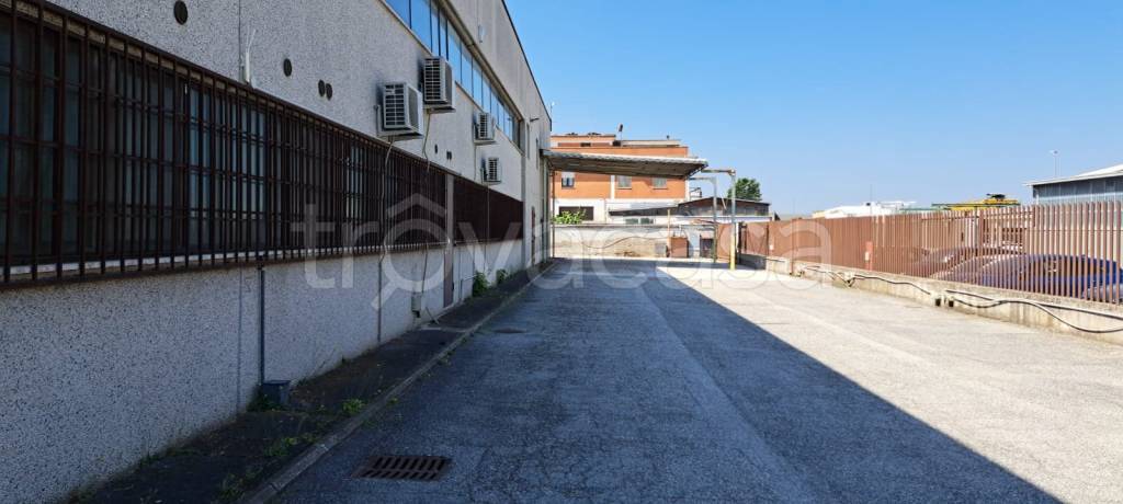 immagine annuncio 8 di 14