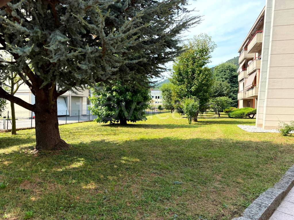 immagine annuncio 11 di 14