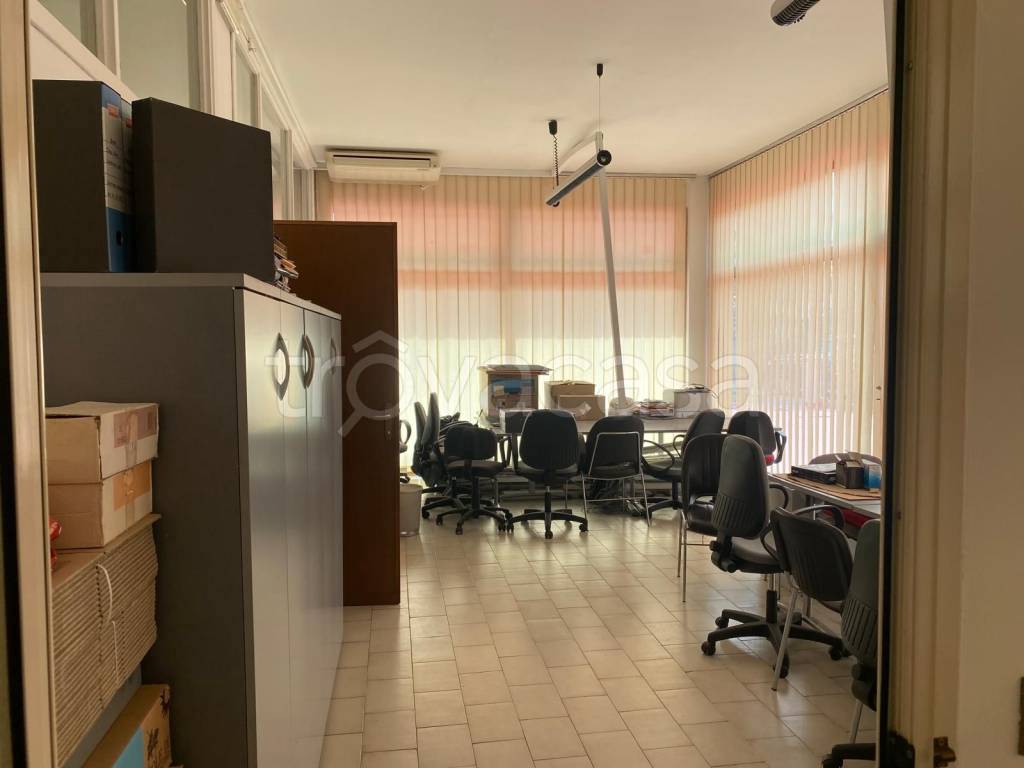 immagine annuncio 2 di 12
