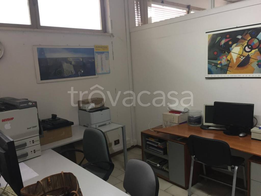 immagine annuncio 9 di 12