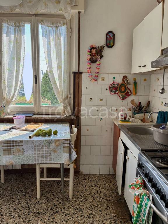 immagine annuncio 7 di 13