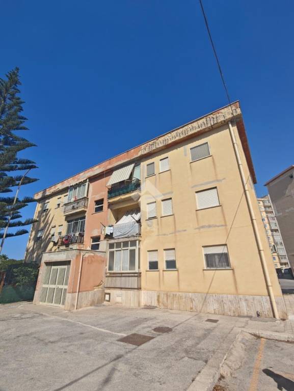 immagine annuncio 12 di 14