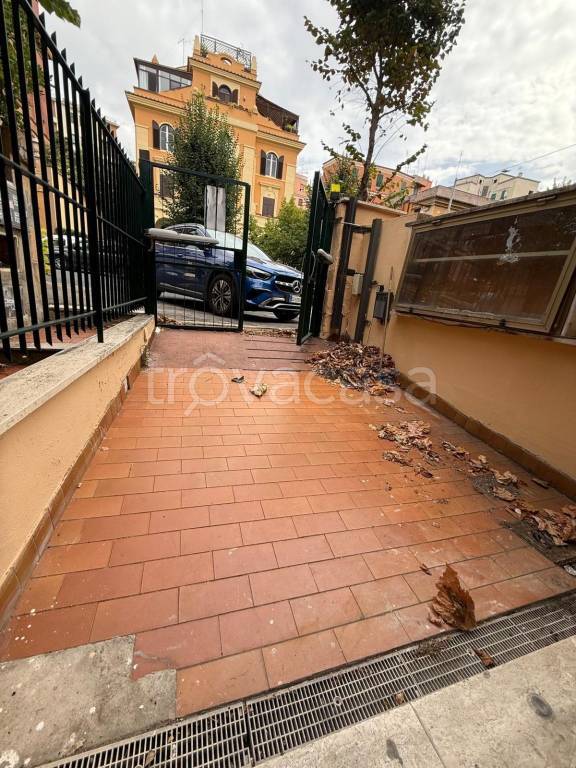 immagine annuncio 11 di 14