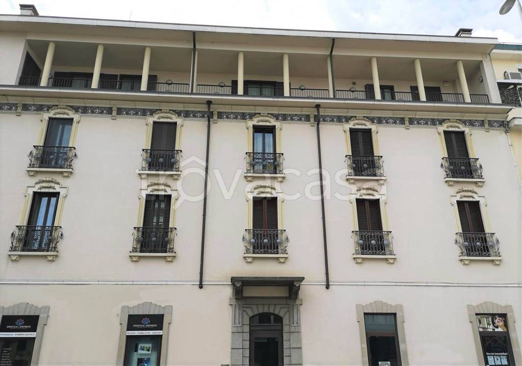 immagine annuncio 11 di 14