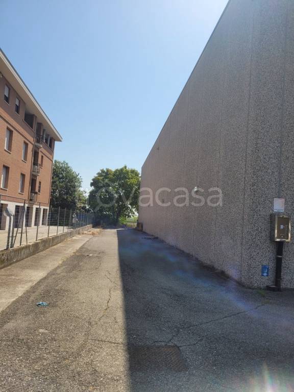 immagine annuncio 3 di 6