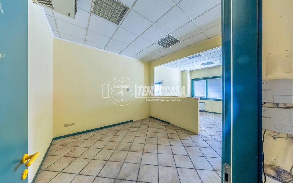 immagine annuncio 9 di 14