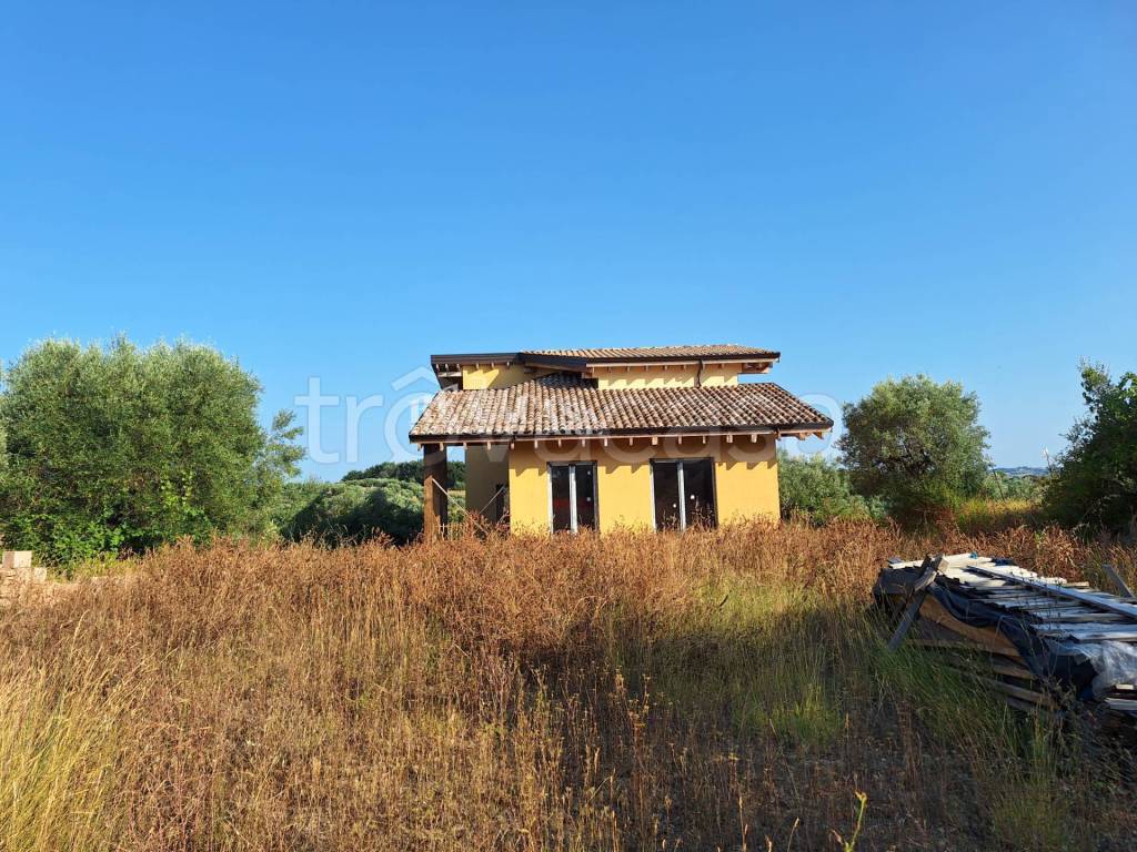 immagine annuncio 6 di 15