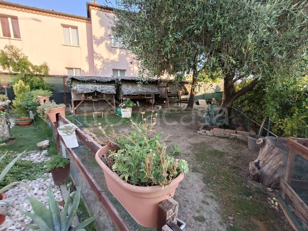 immagine annuncio 5 di 15