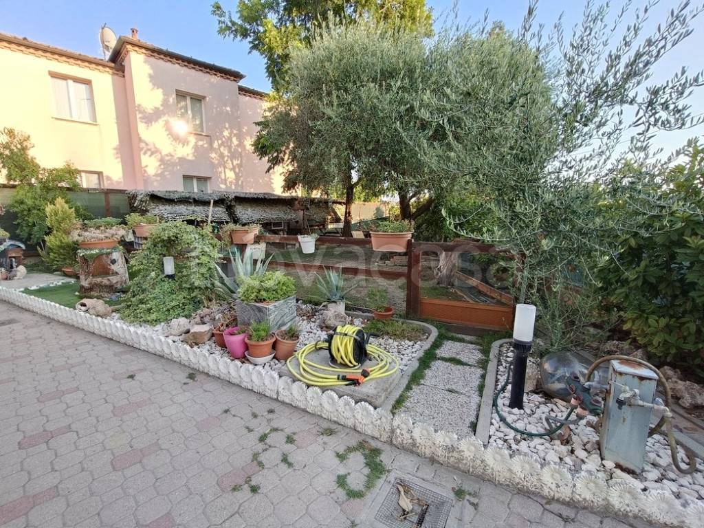 immagine annuncio 6 di 15