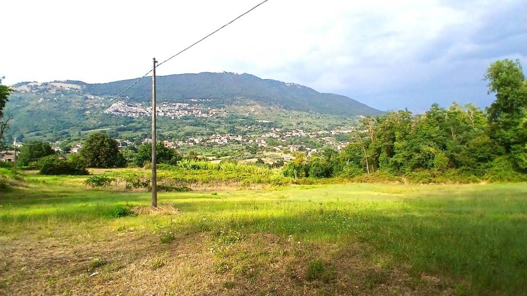immagine annuncio 2 di 6
