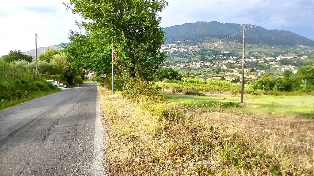 immagine annuncio 1 di 6
