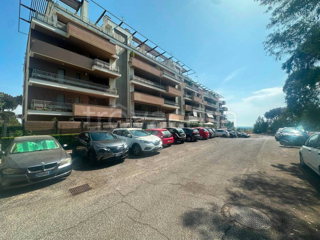 immagine annuncio 4 di 11
