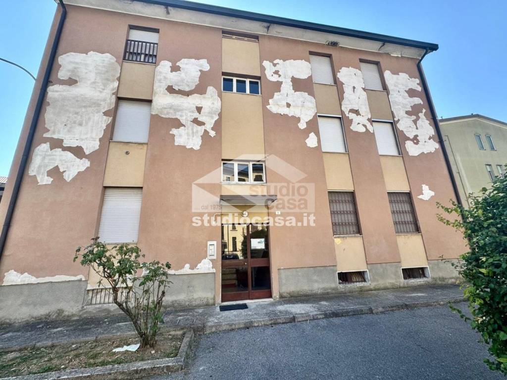 immagine annuncio 12 di 13