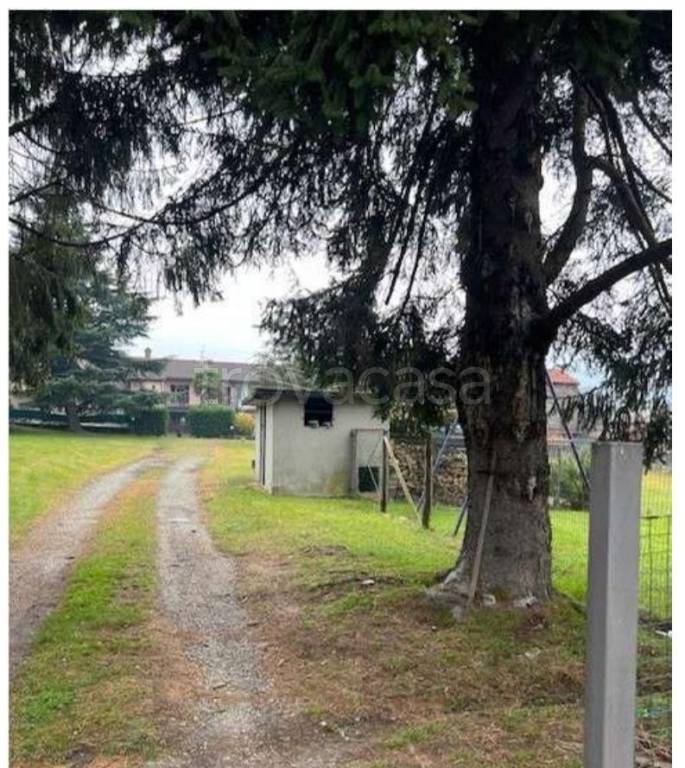 immagine annuncio 8 di 15